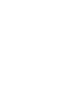 Watermark